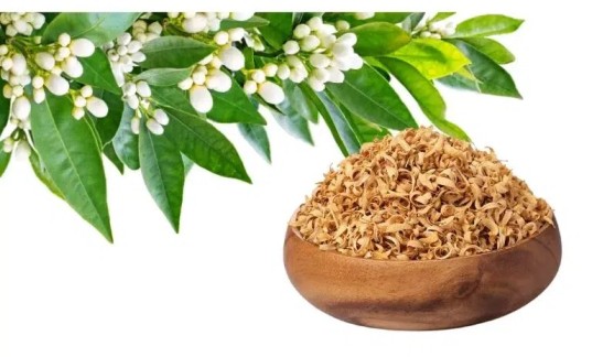 بهار نارنج